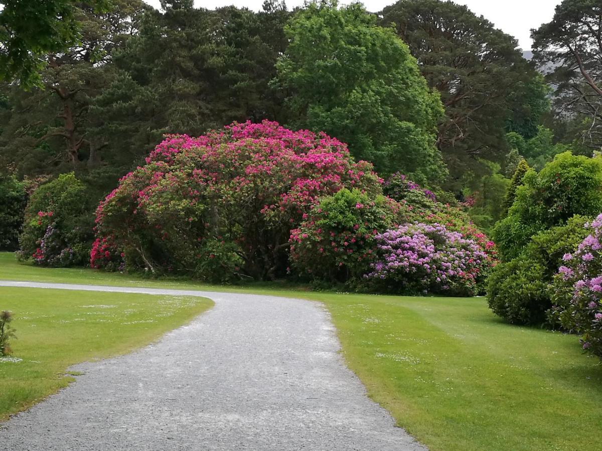 Watersedge Seaviews Hotel Kenmare Exterior foto
