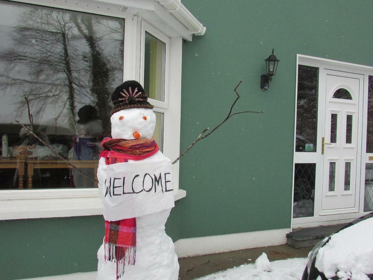Watersedge Seaviews Hotel Kenmare Exterior foto