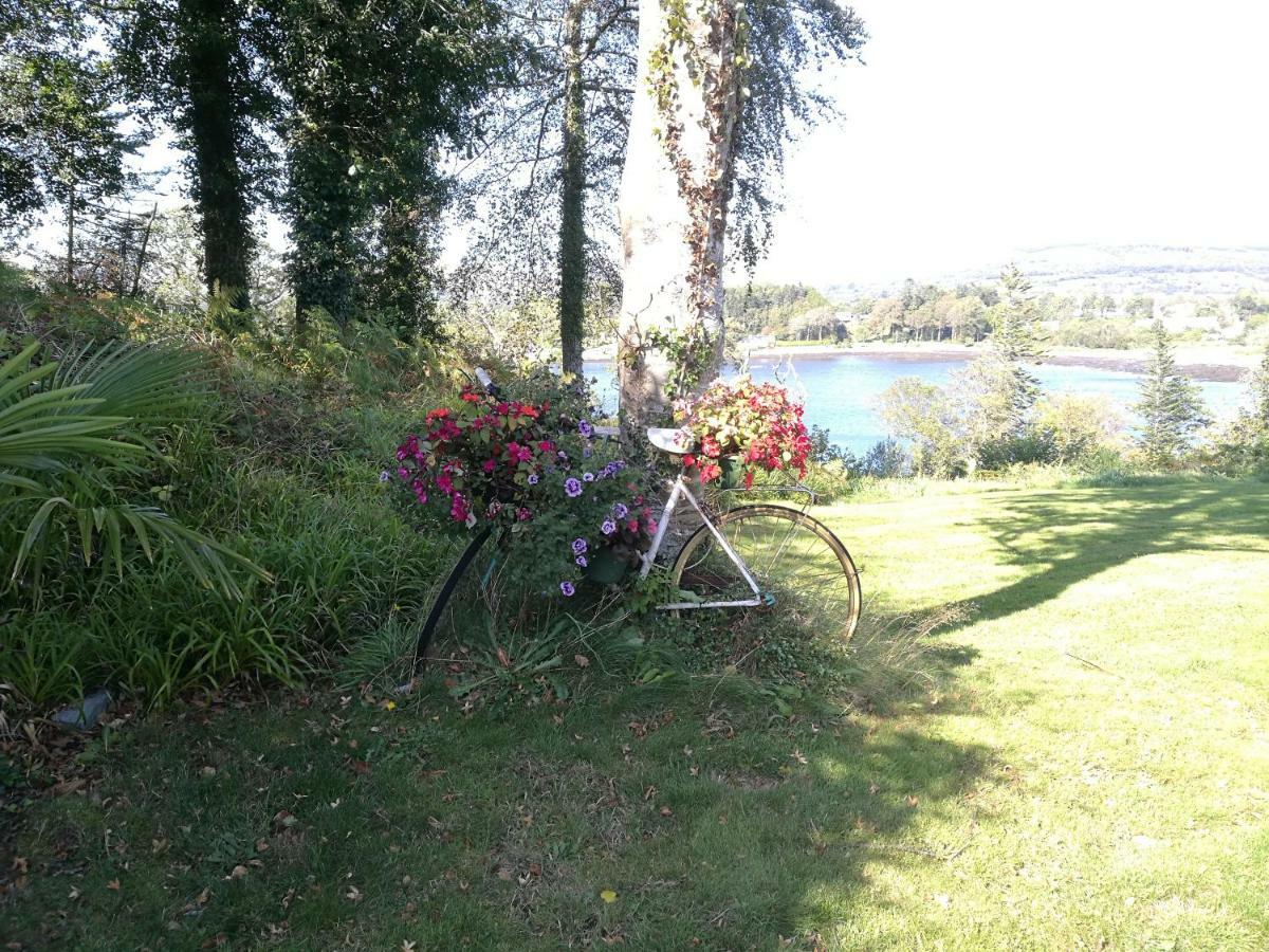 Watersedge Seaviews Hotel Kenmare Exterior foto